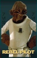 Datei:NGE Rebel Pilot.jpg